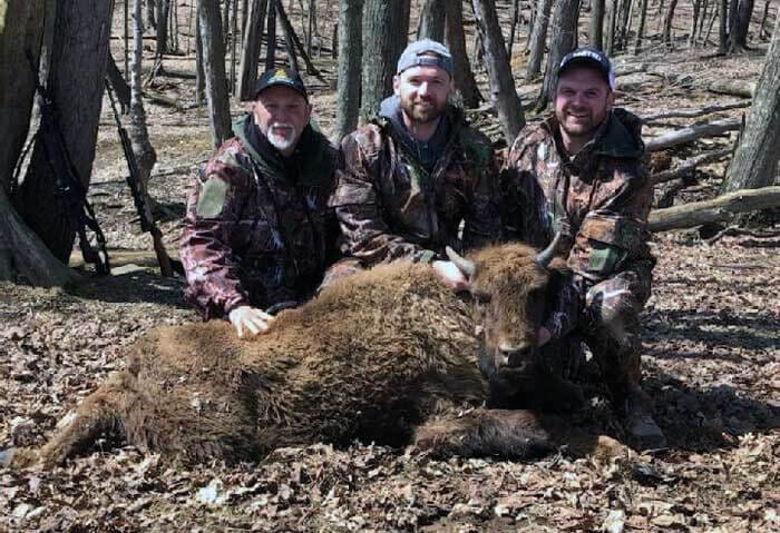Guided Bison Hunt in PA