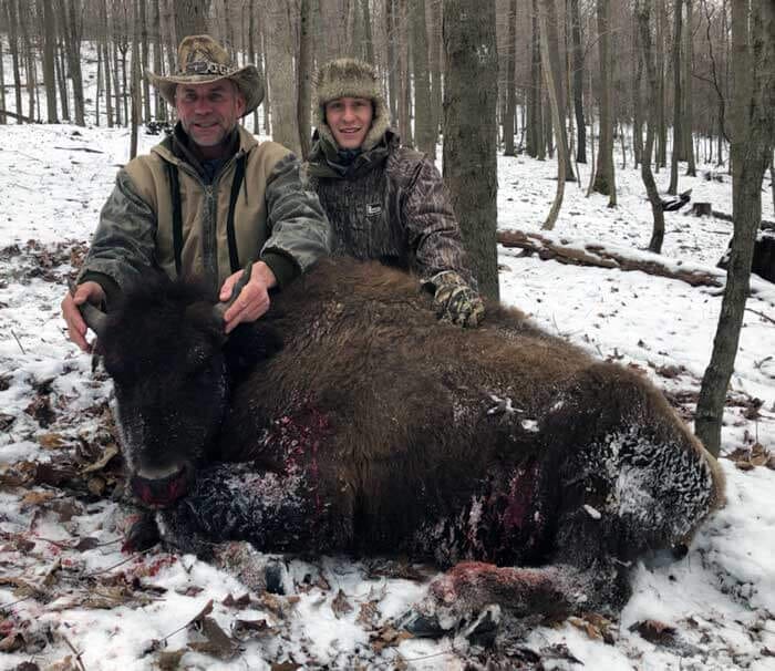 Successful Guided Bison Hunt at Stonebridge Hunting Preserve