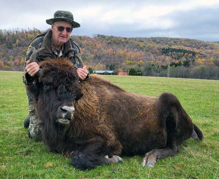 PA Bison Hunting at Stonebridge Preserve