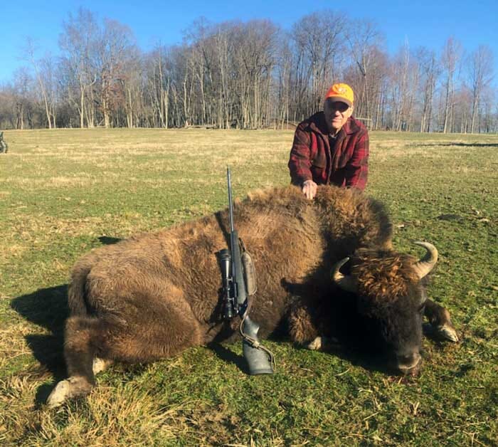 Guided Bison Hunt at Stonebridge Hunting Preserve