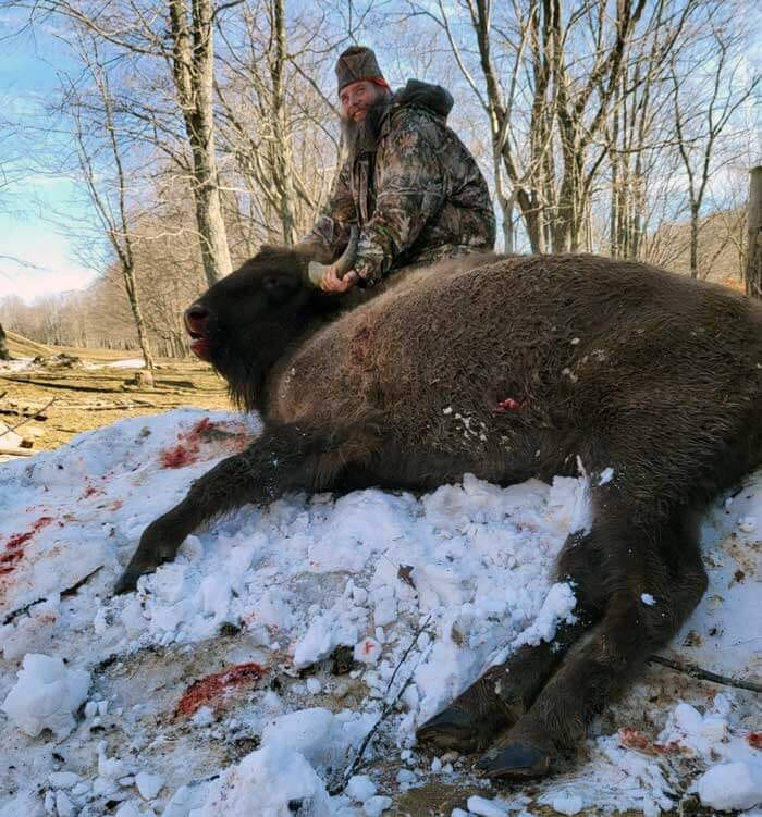 Quality Bison taken at Stonebridge Hunting Preserve in PA