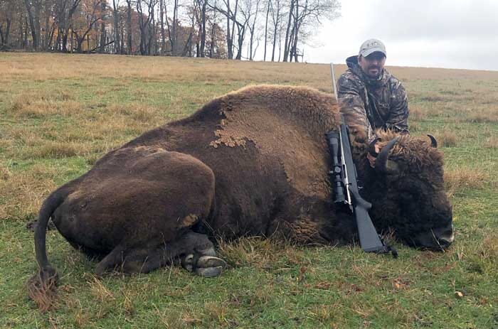 Silver Bison taken at Stonebridge Bison Hunting Preserve in PA