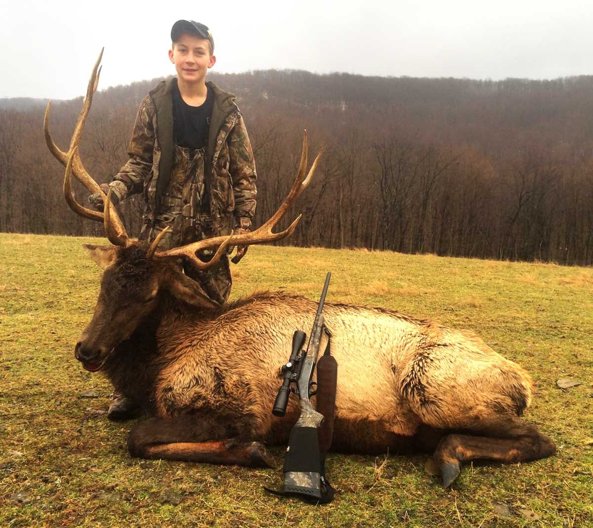 Elk Bull Hunting in Pennsylvania