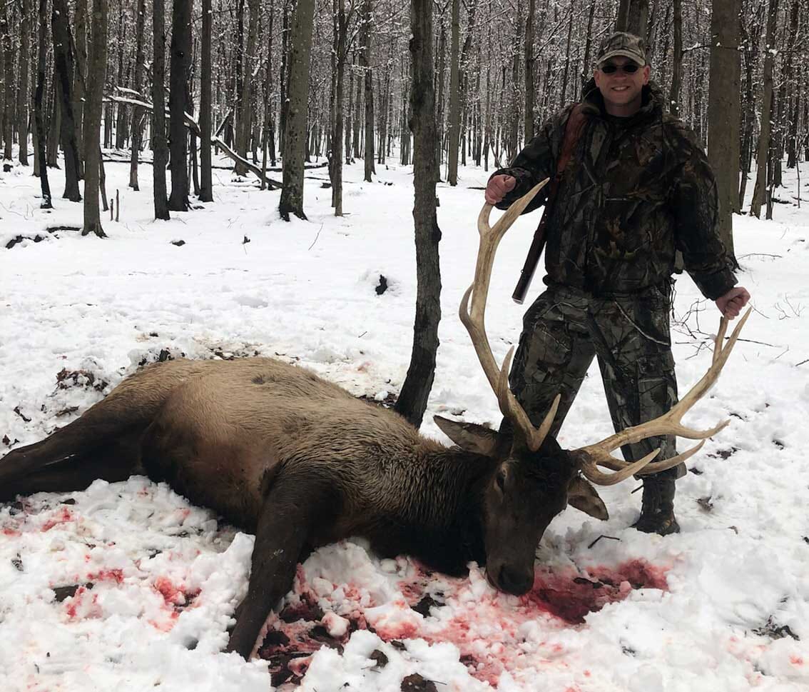 Pennsylvania Elk Bull Group Hunt