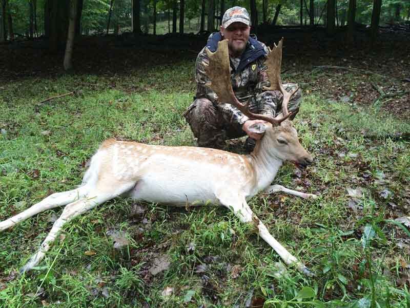 Trophy Fallow Deer Buck in Pennsylvania