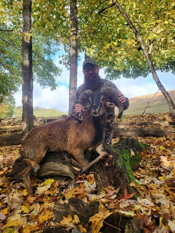 Blackbelly Ram Hunting Trip for Kentucky