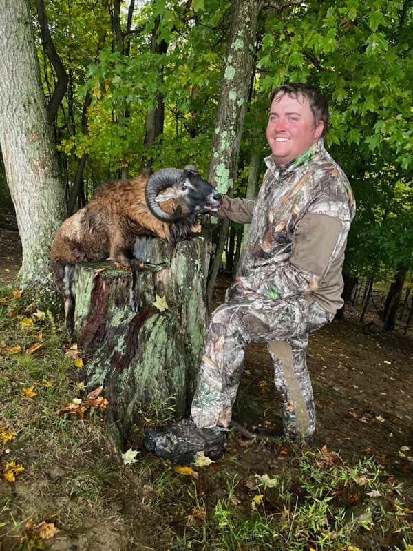 Corsican Ram Hunting Trip Near Ohio
