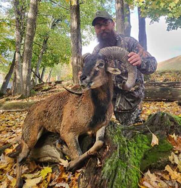 Mouflon Ram Hunting Trip for Kansas