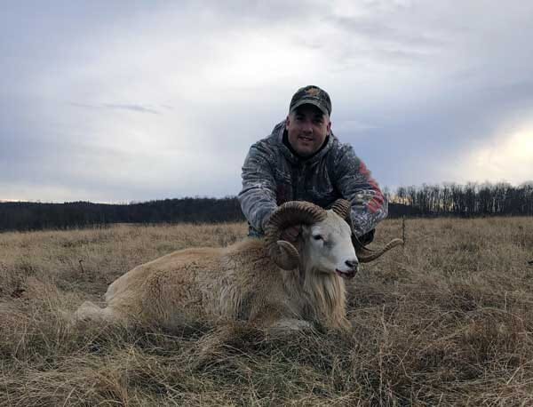 PA Guided Red Dall Ram Hunt