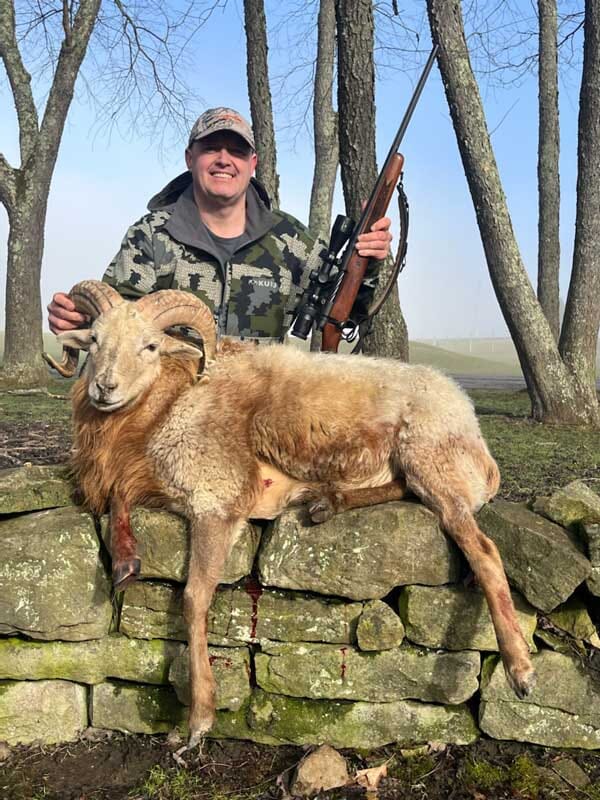 Red Dall Ram Hunting Trip for Kentucky