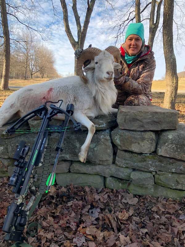 White Dall Ram Guided Hunting Trip for Alabama