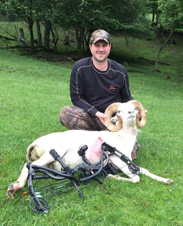 White Dall Ram Guided Hunt for Florida