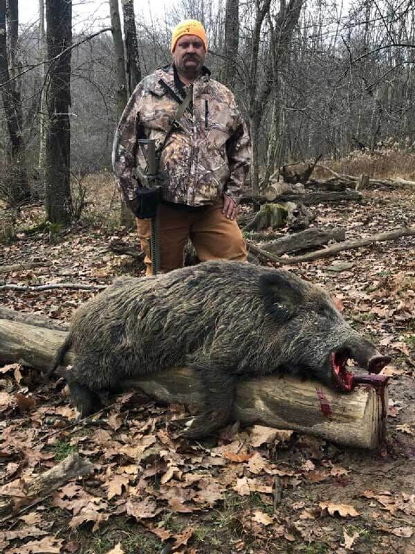 Successful Guided Boar Hunt at Stonebridge Hunting Preserve