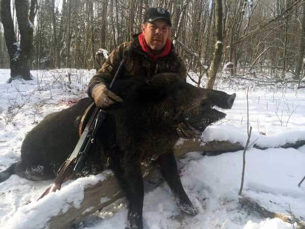 PA Boar Hunting at Stonebridge Preserve