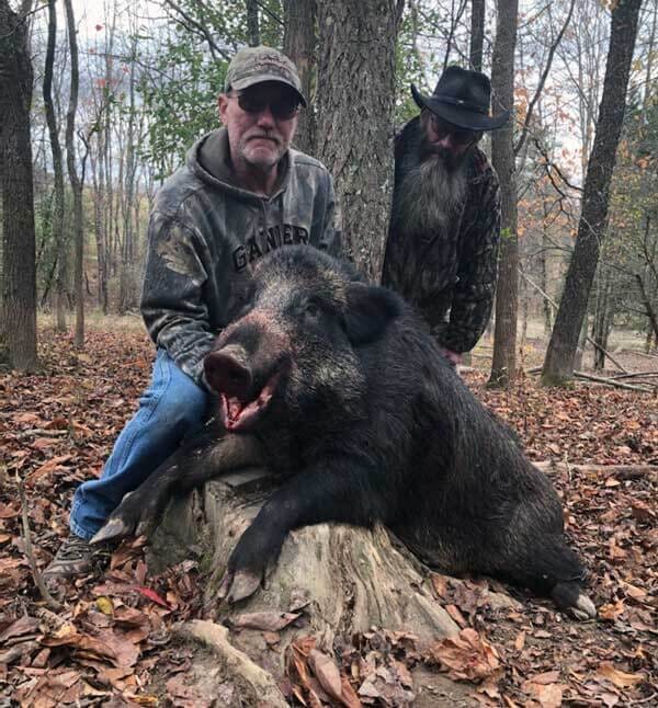 Quality Russian Boar taken at Stonebridge Hunting Preserve in PA