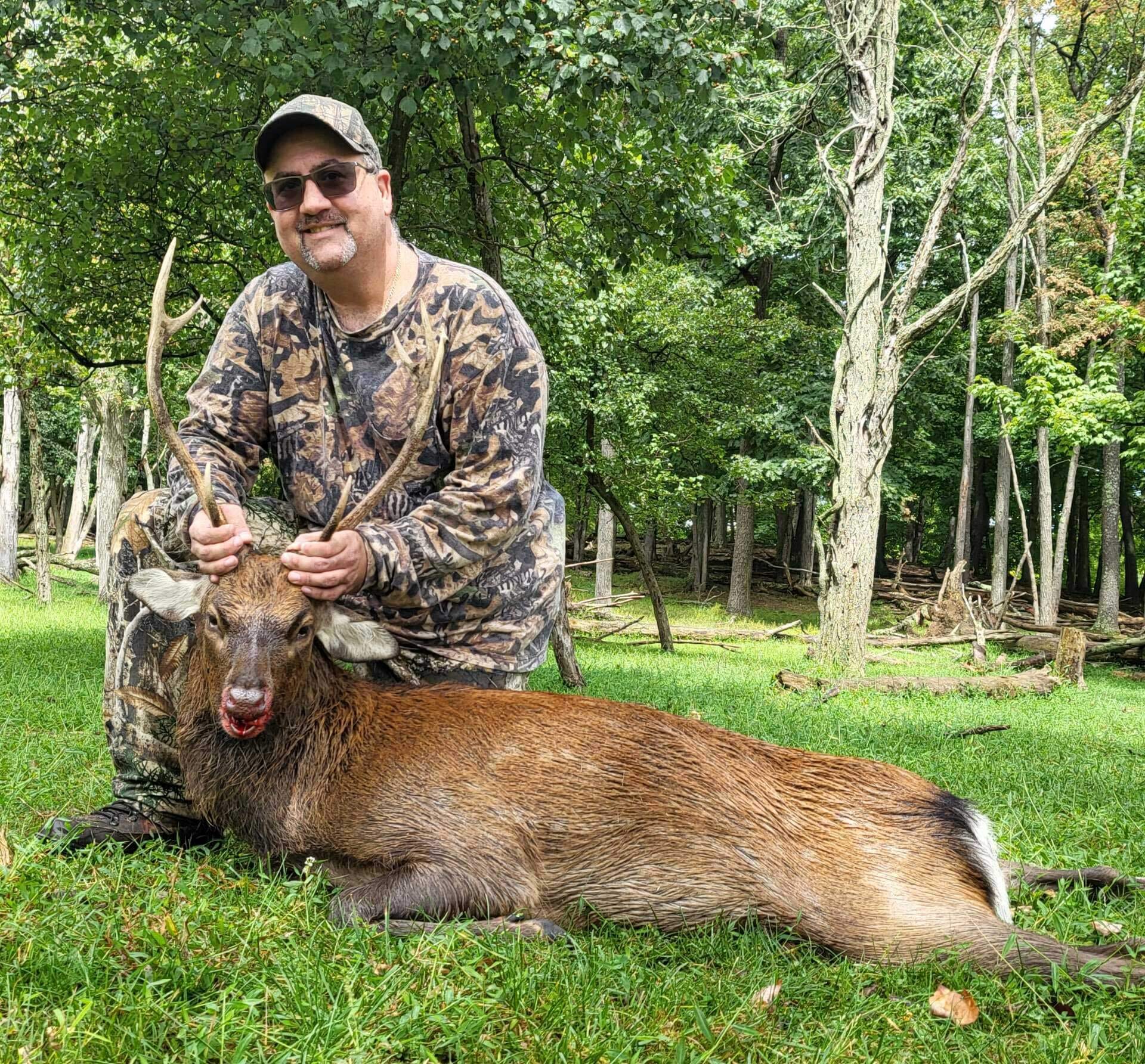 Trophy Sika Deer Buck in Pennsylvania