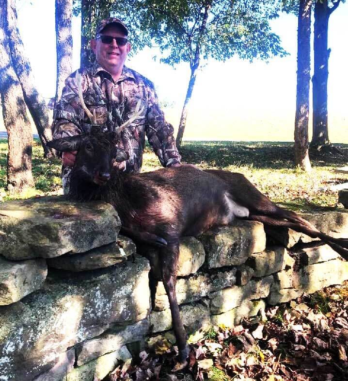 White Sika Deer Buck at Stonebridge Hunting Preserve