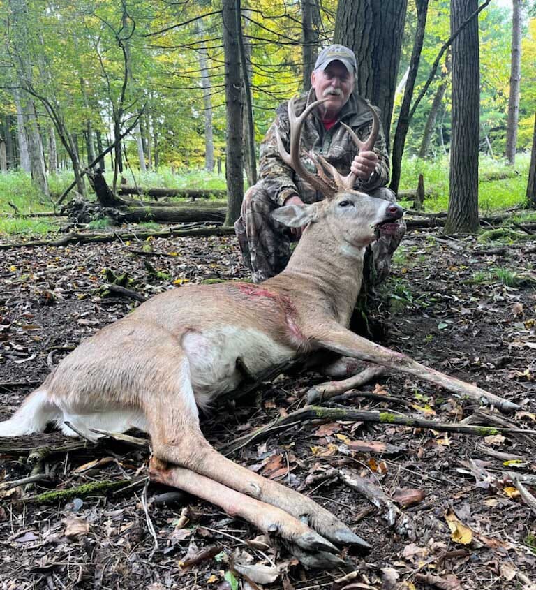 Stonebridge Whitetail Deer Buck